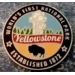 YELLOWSTONE PIN WORLD'S FIRST NATIONAL PARK PINS